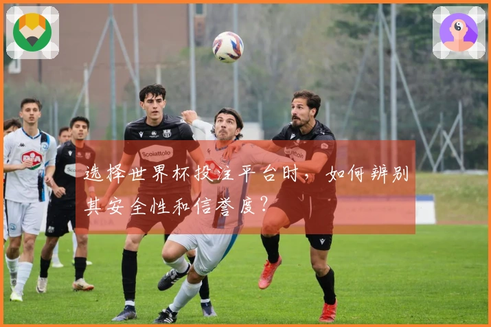 选择世界杯投注平台时，如何辨别其安全性和信誉度？