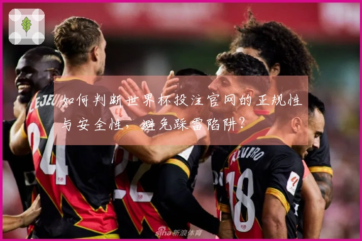 如何判断世界杯投注官网的正规性与安全性，避免踩雷陷阱？