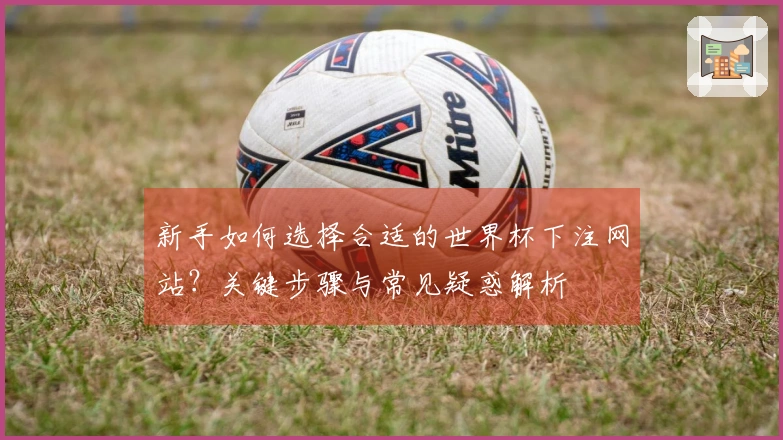新手如何选择合适的世界杯下注网站？关键步骤与常见疑惑解析