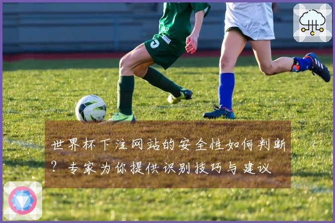 世界杯下注网站的安全性如何判断？专家为你提供识别技巧与建议