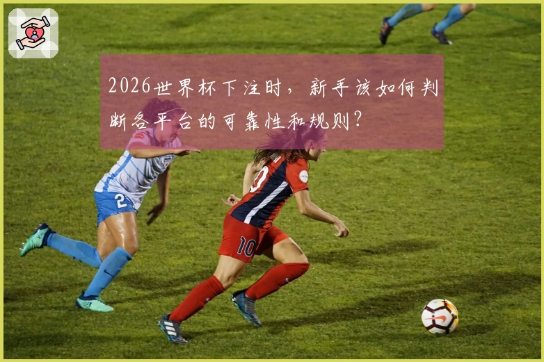 2026世界杯下注时，新手该如何判断各平台的可靠性和规则？