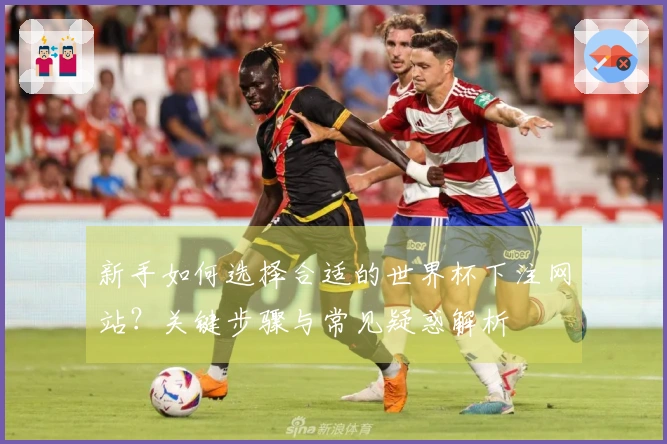 新手如何选择合适的世界杯下注网站？关键步骤与常见疑惑解析